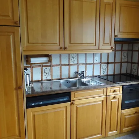 Birkenstrasse 52 Appartement-fewo 4-bettwohnung By Interhome